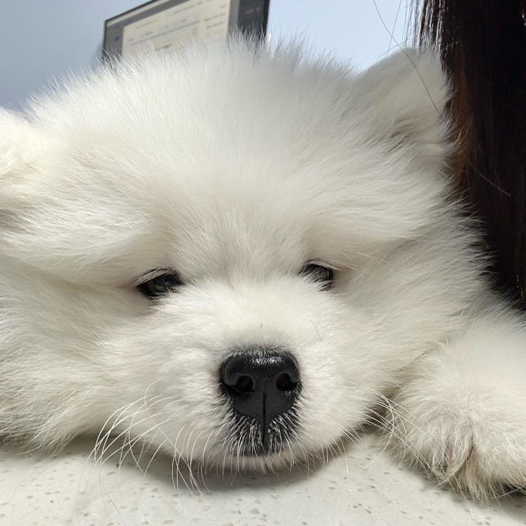 还没睡醒