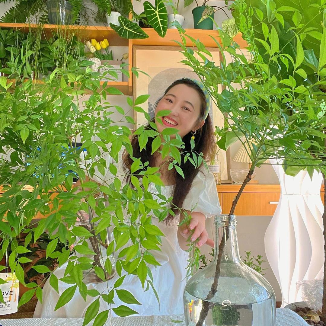 李小乐乐养绿植