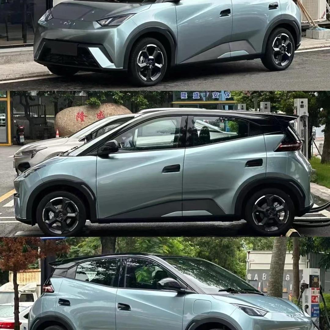 在BYD仰泳