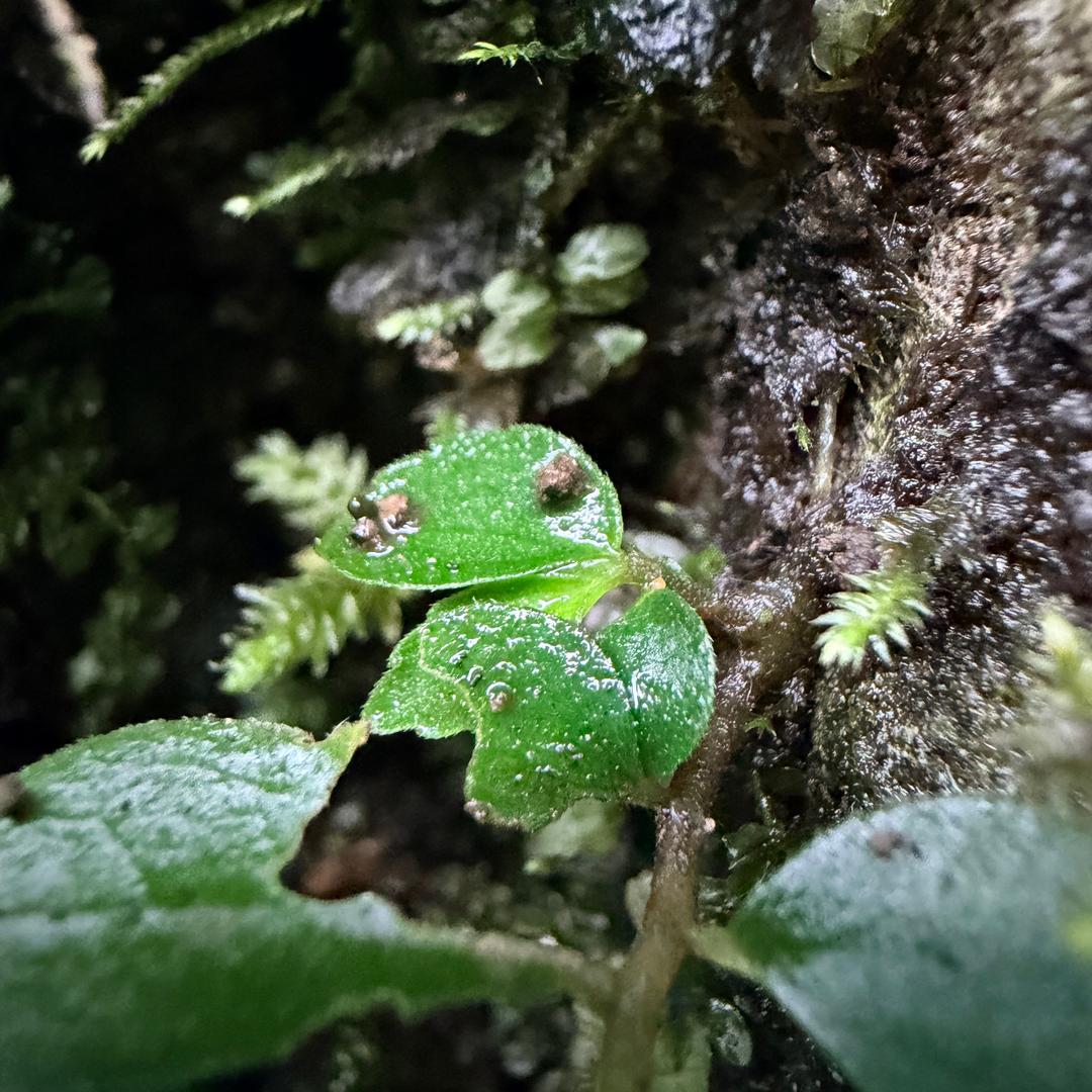 海纳百川12