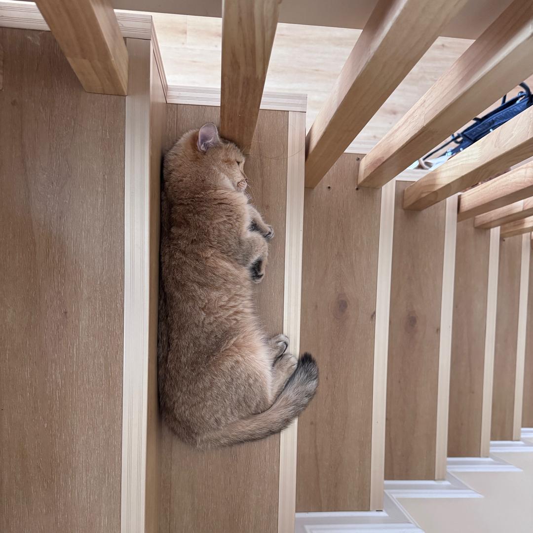 教练我想打网球