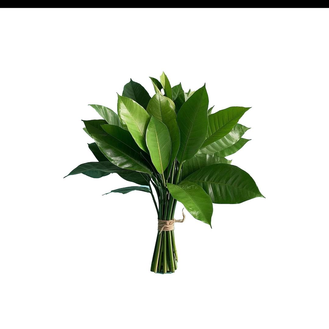 知南暖🌾（拒绝连赞）