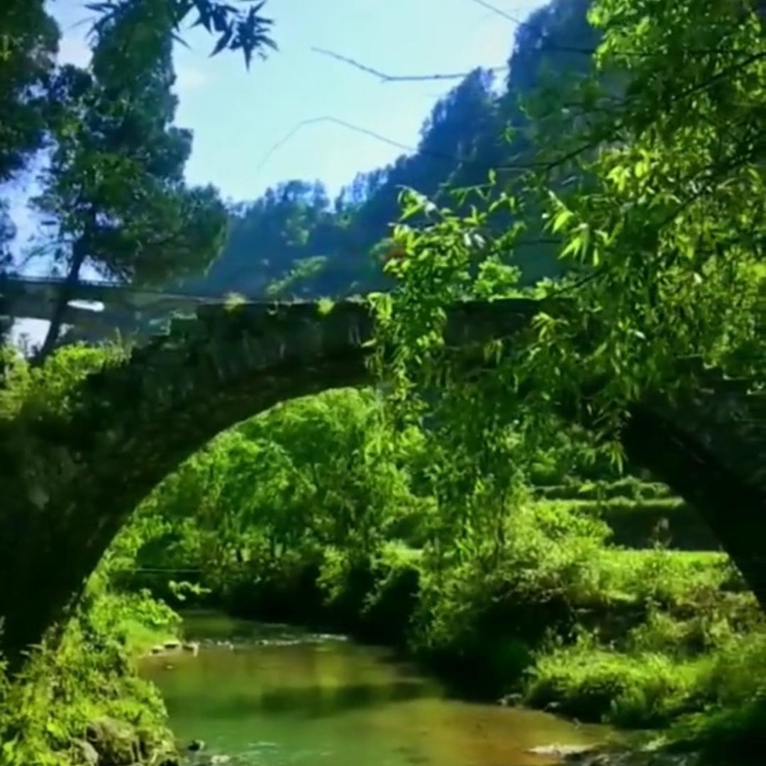 古月