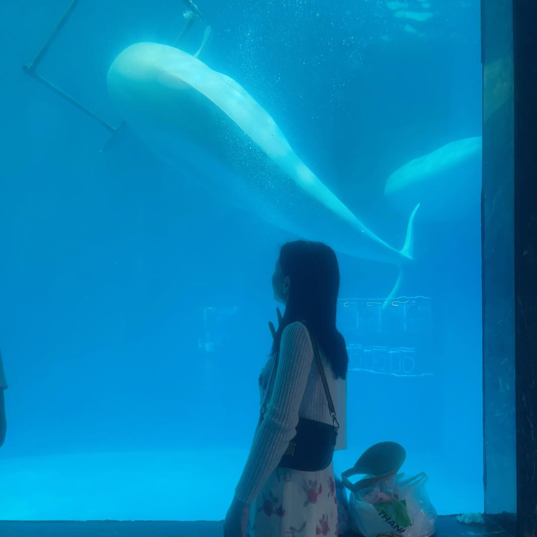 梅梅