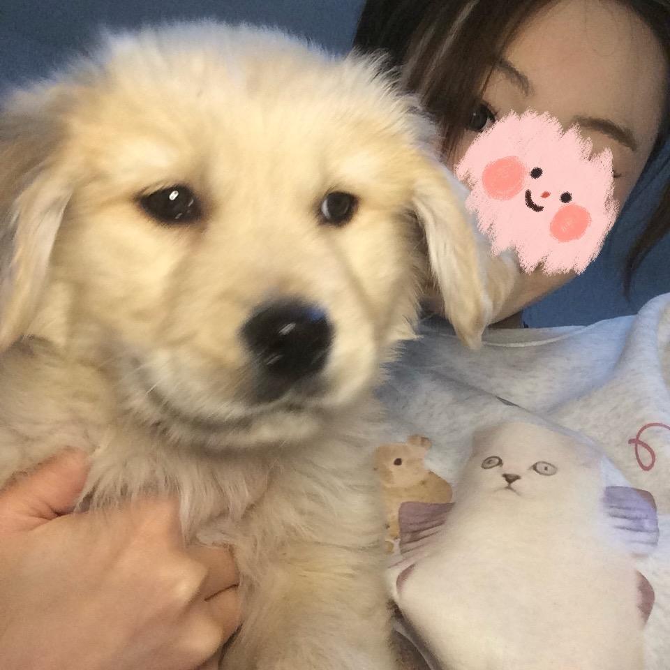 小洁.💚