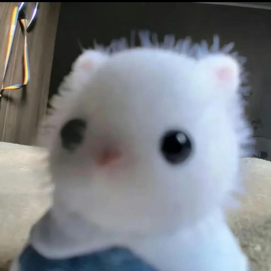 负七yu（见过大哥版）