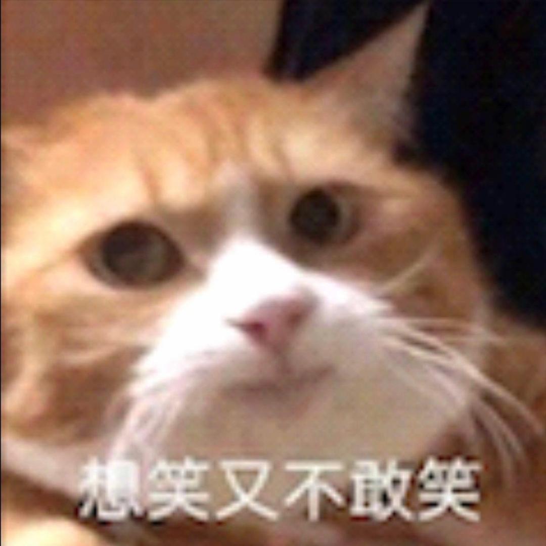 遇志