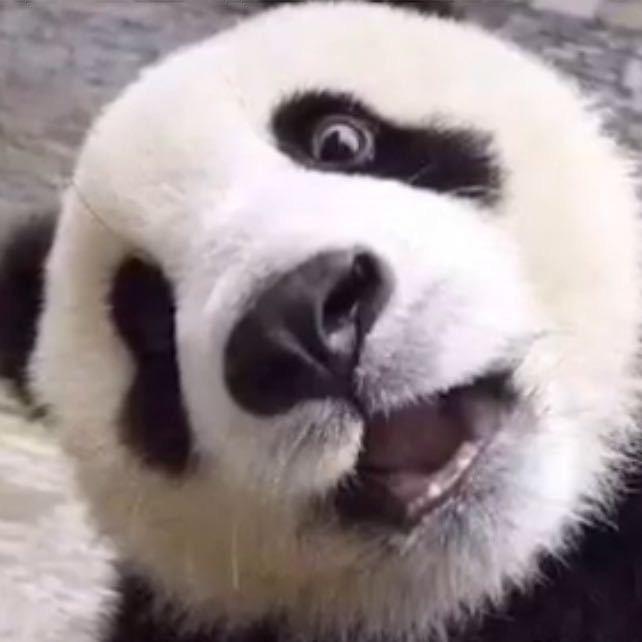 你偶像