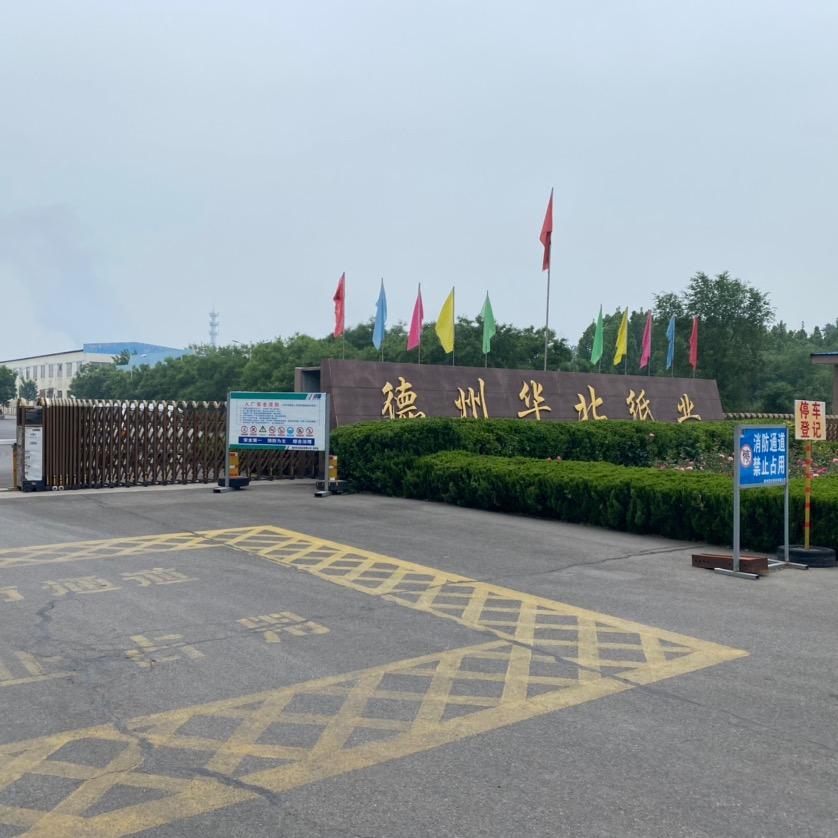 杨文龙（德州华北纸业）