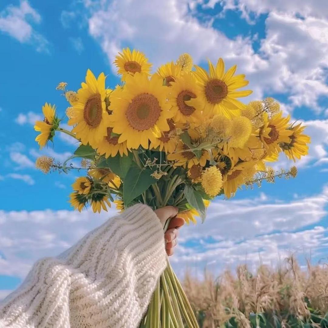 林林花卉园艺创意屋