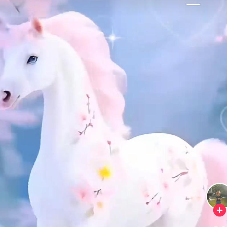 ❤️锋哥❤️