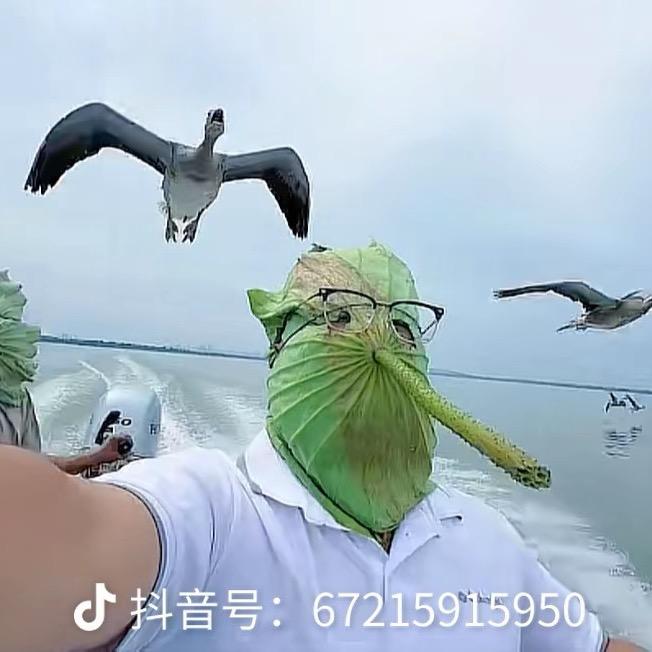 董艳宇