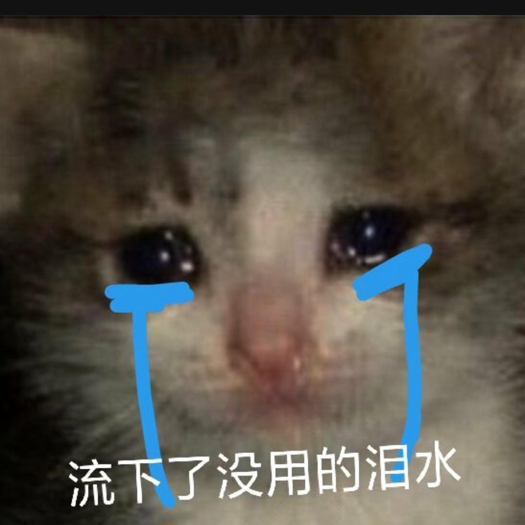 容易破防的小学生