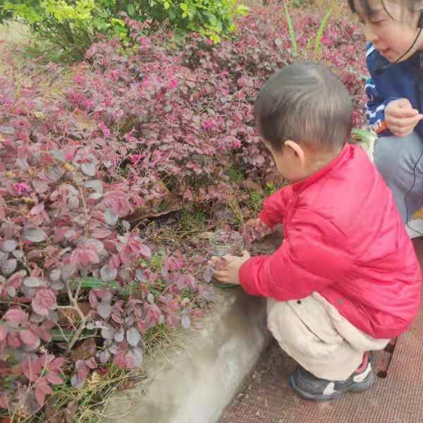 元宝
