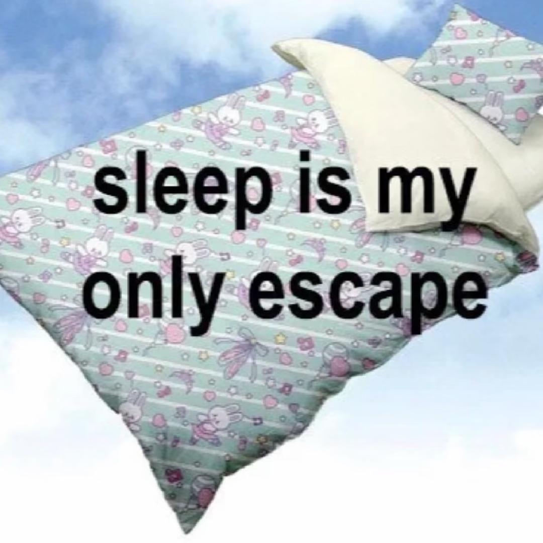 上进的爆喇鸭头