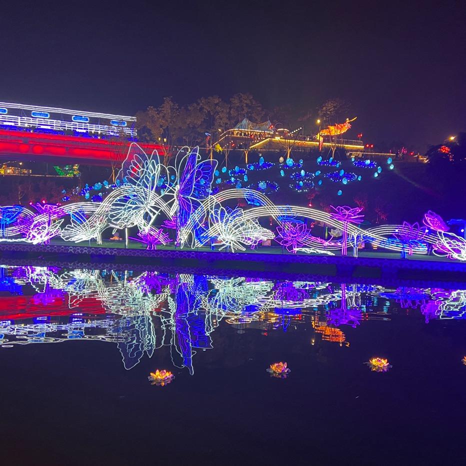 🐲宝宝（记忆清零）