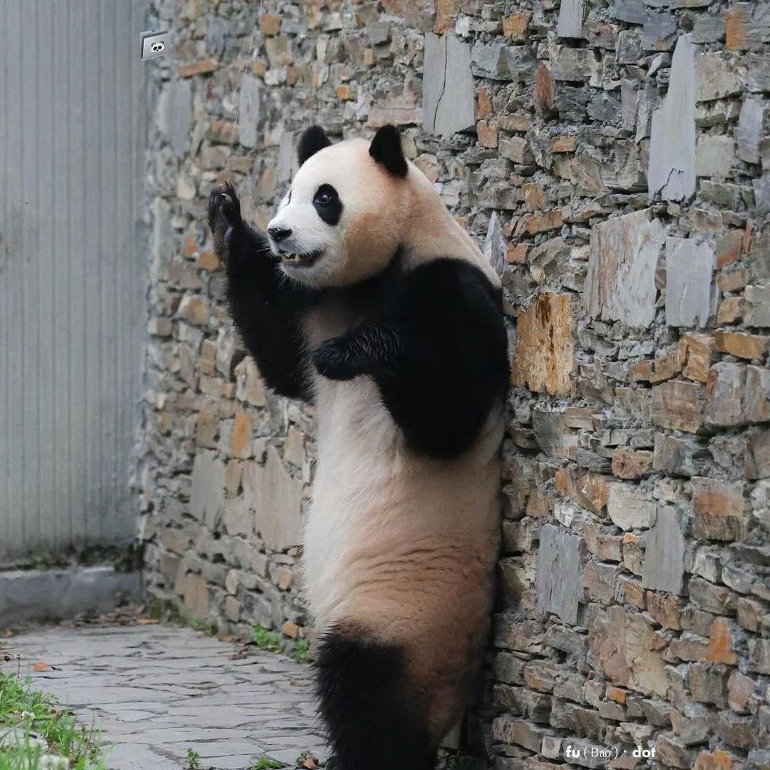 🌈🌈🌈刚刚。