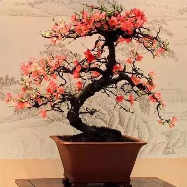 爱笑的人运气不会差😊