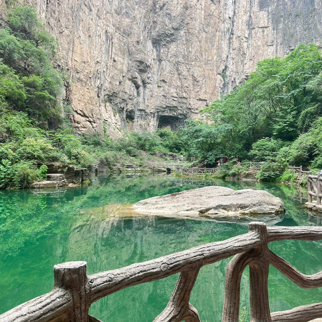 一林
