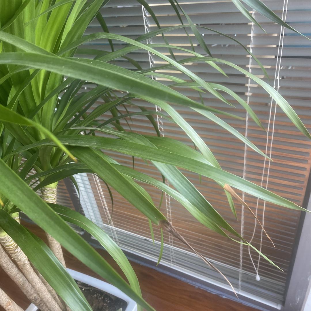 潍坊仕成教育咨询有限公司