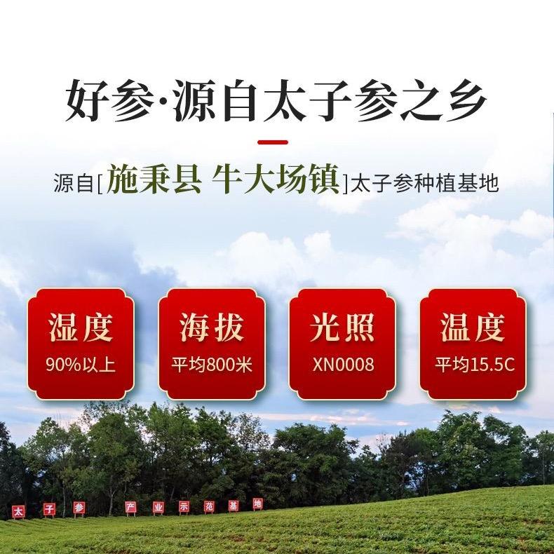 贵州太子参产地直供～刘胜