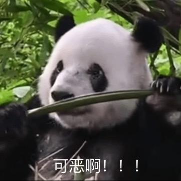 筠也