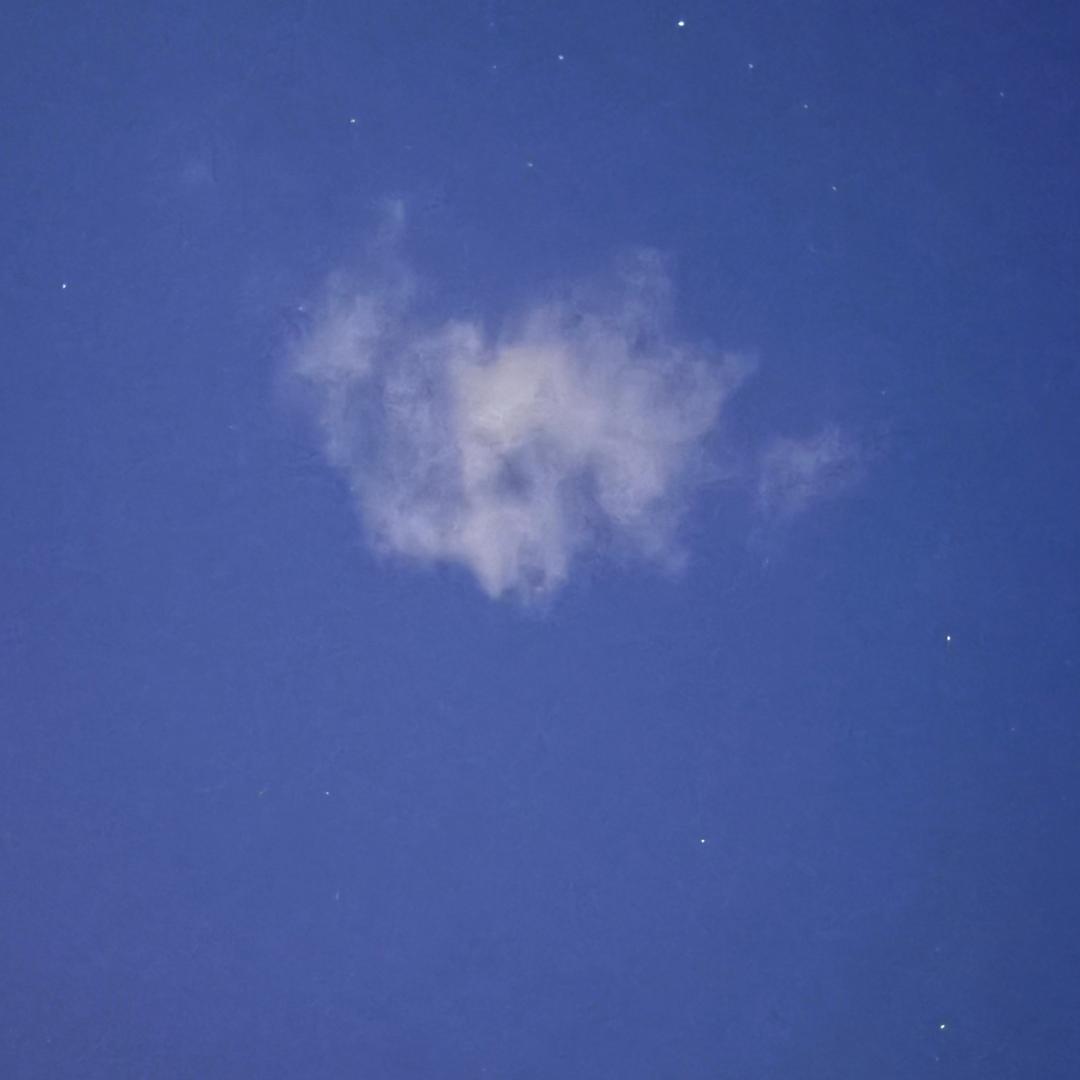 今天我要吃麦当劳🦋