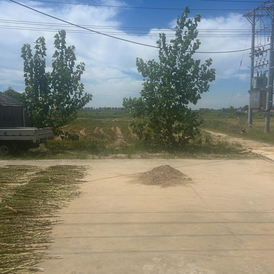 前程似锦🎶🎶🎶