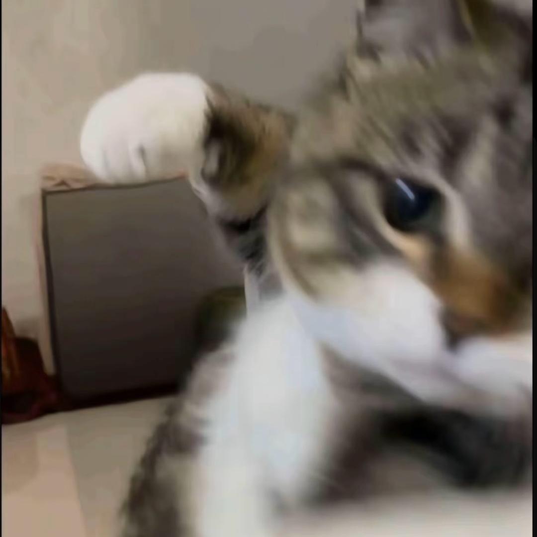 吃我一拳👊(｀Д´)