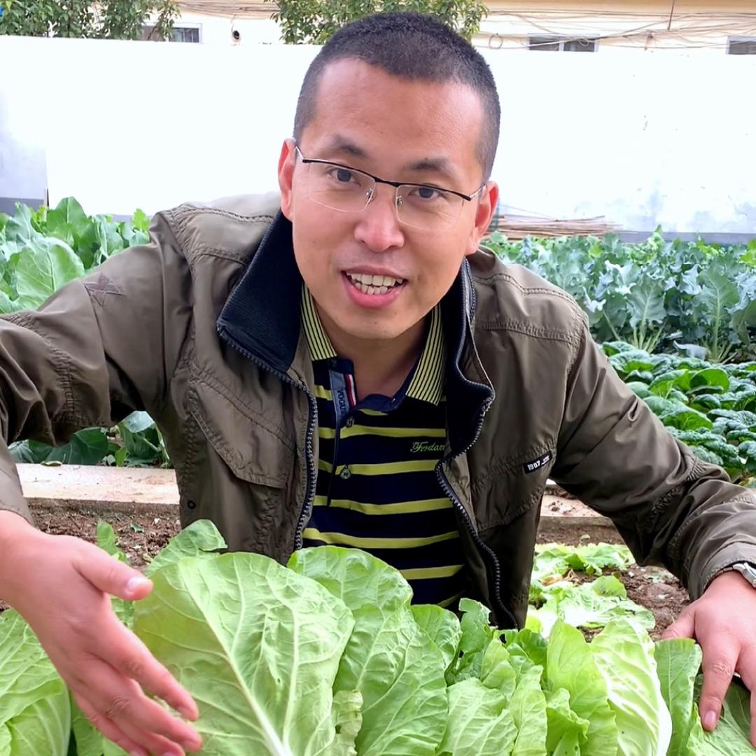 菜乡田心果蔬