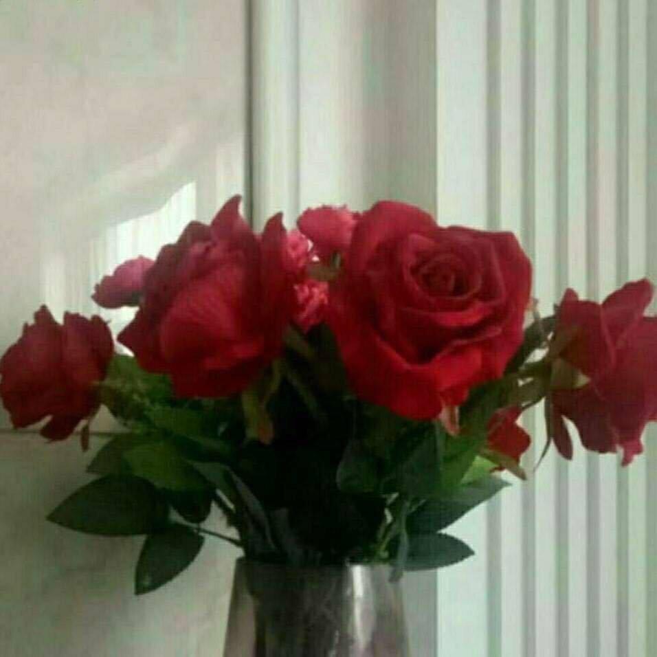 🌹开心每一天🌹