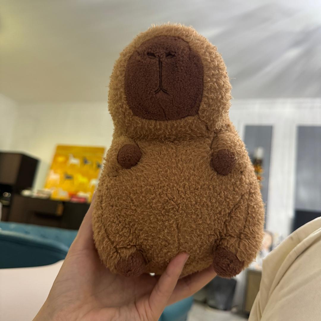 珍珠姐儿