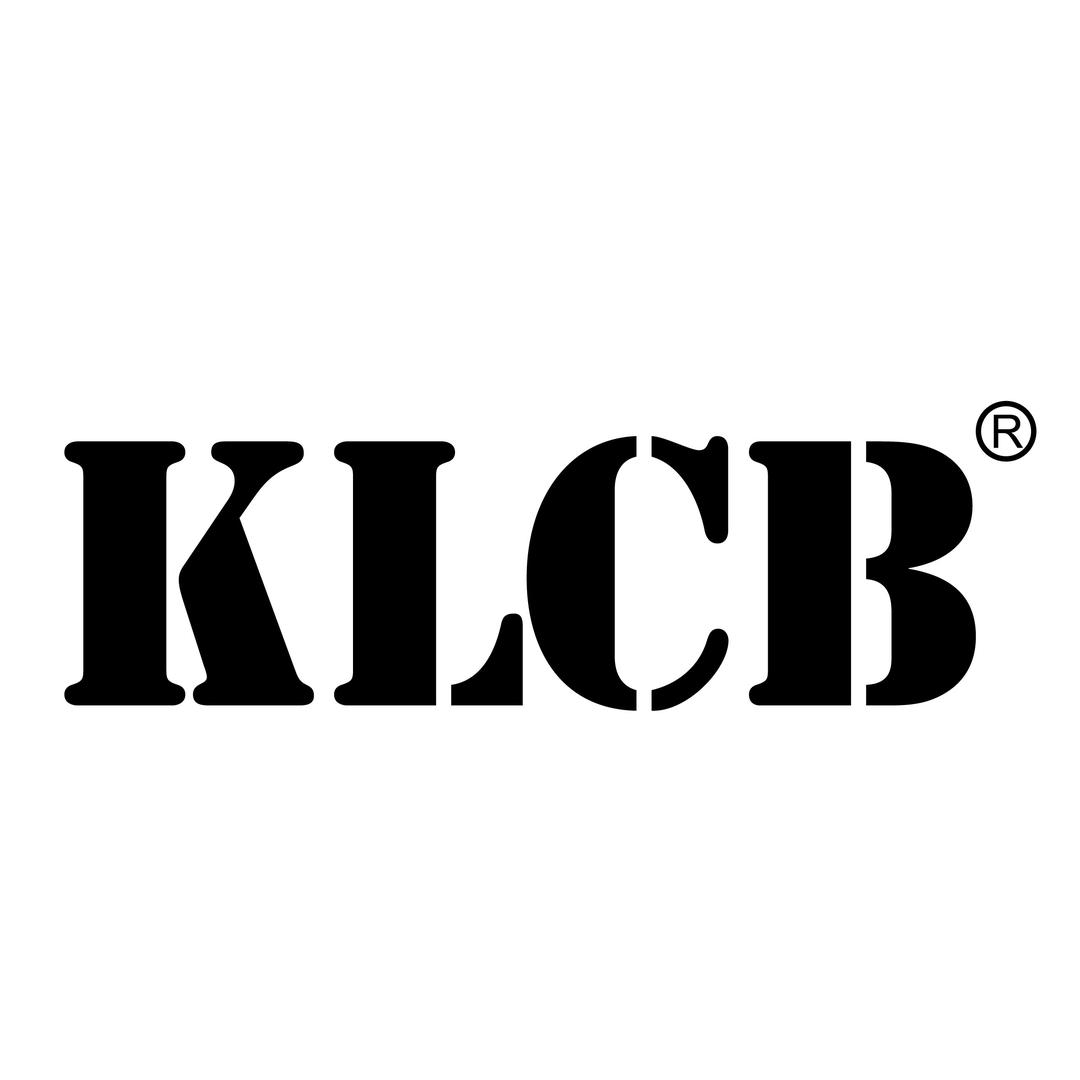 KLCB苛力汽车用品旗舰店