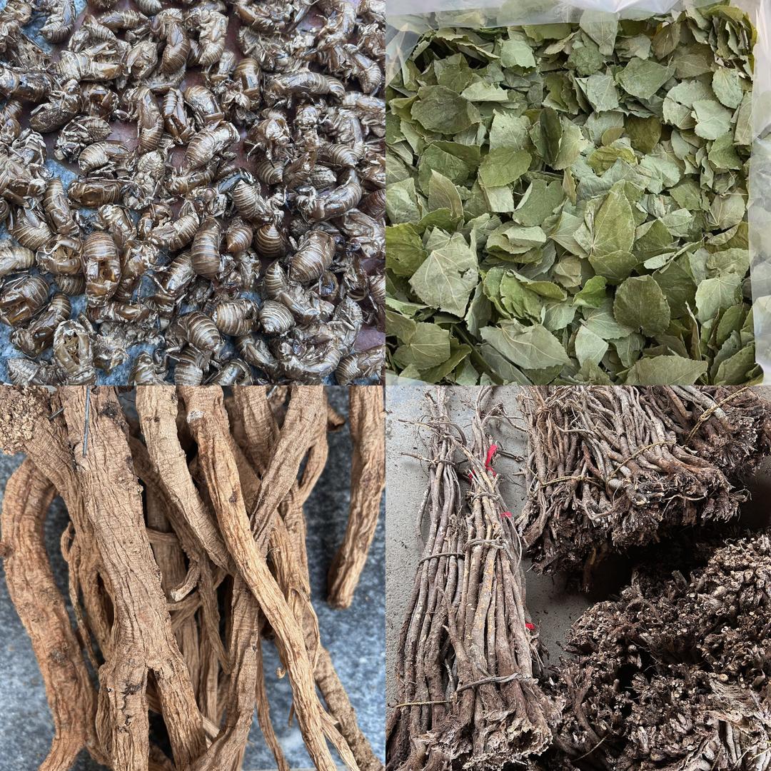 西和县收购服务农场