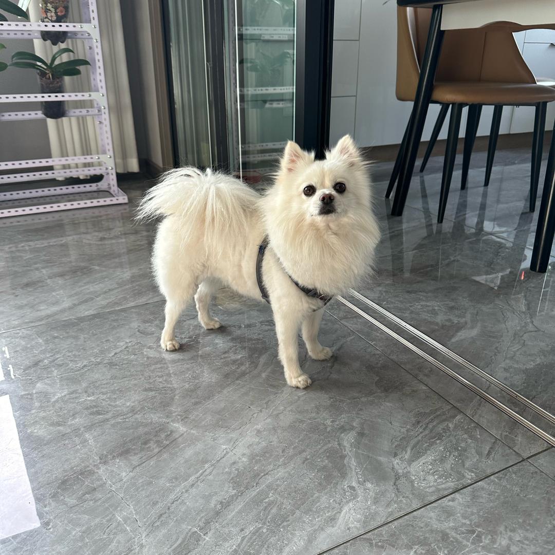 可乐宝贝