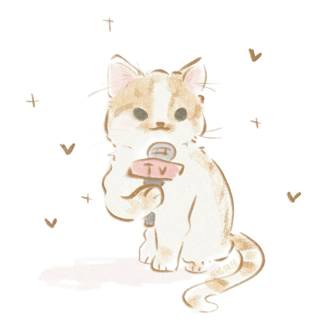 橘猫筒（大号12.22日回归））