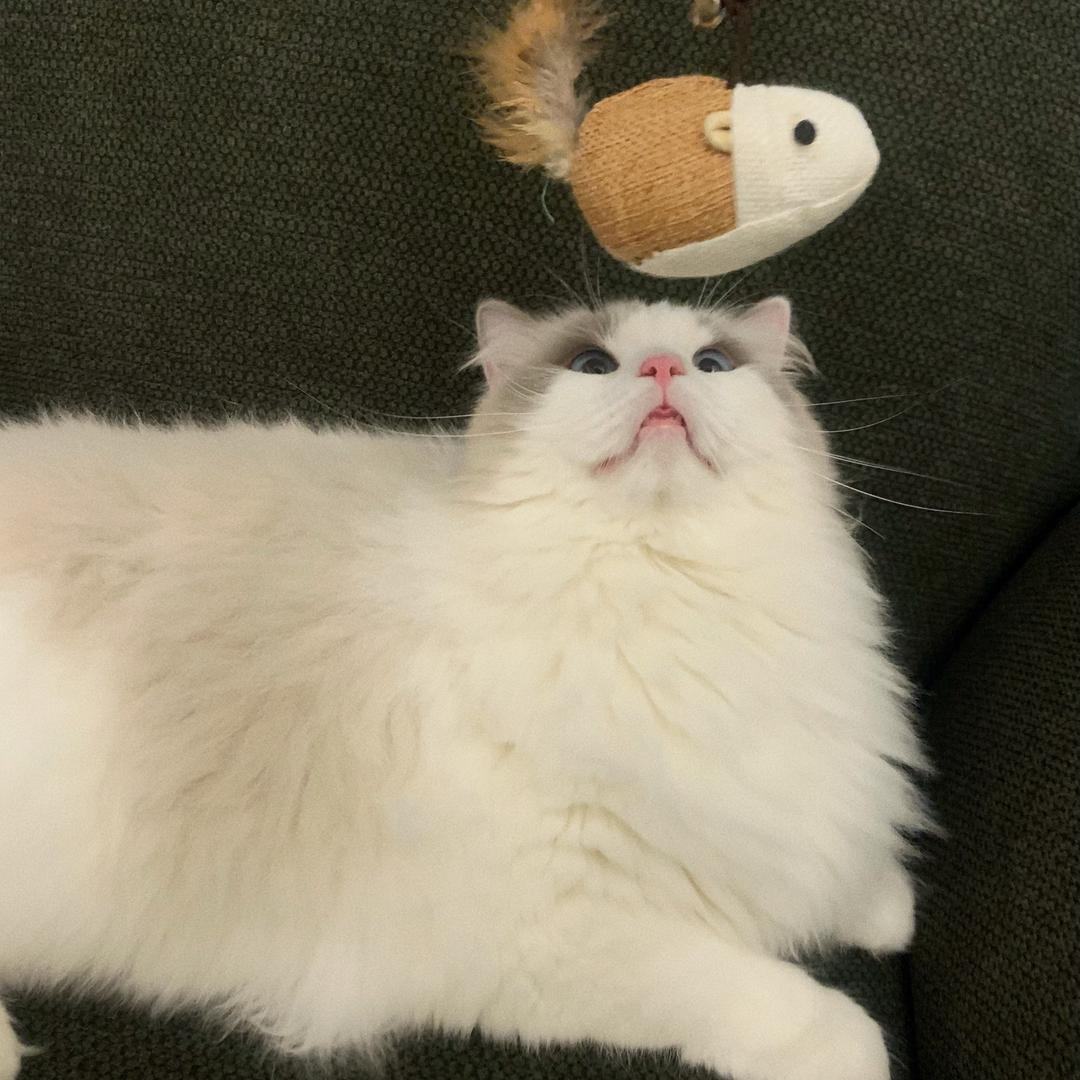 尤林