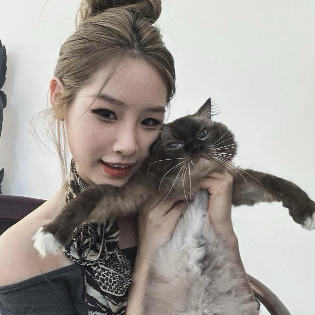 李。叶子
