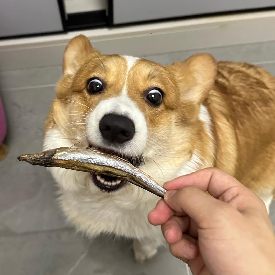 一脚抽射