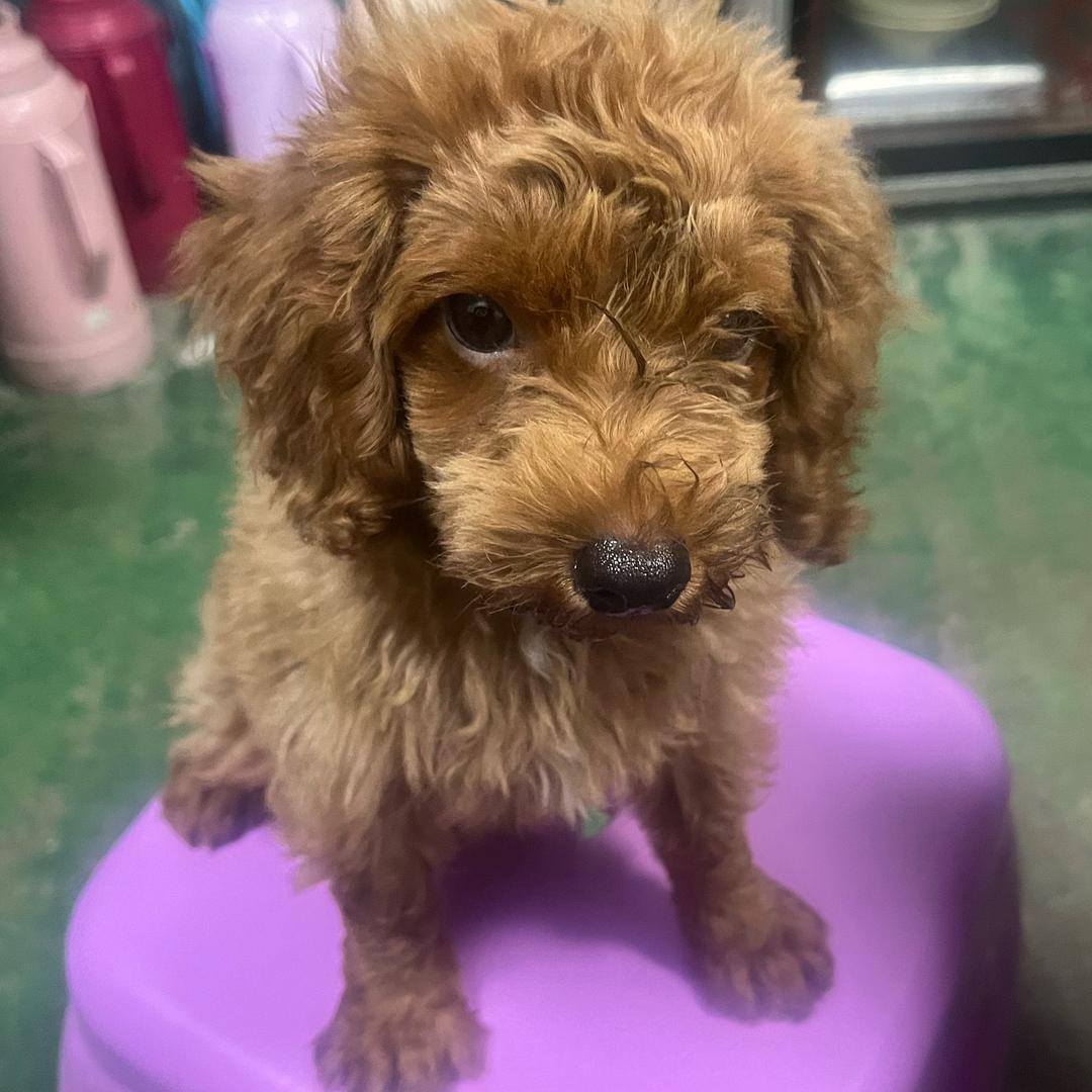 🌟🌟钰姐🌟🌟