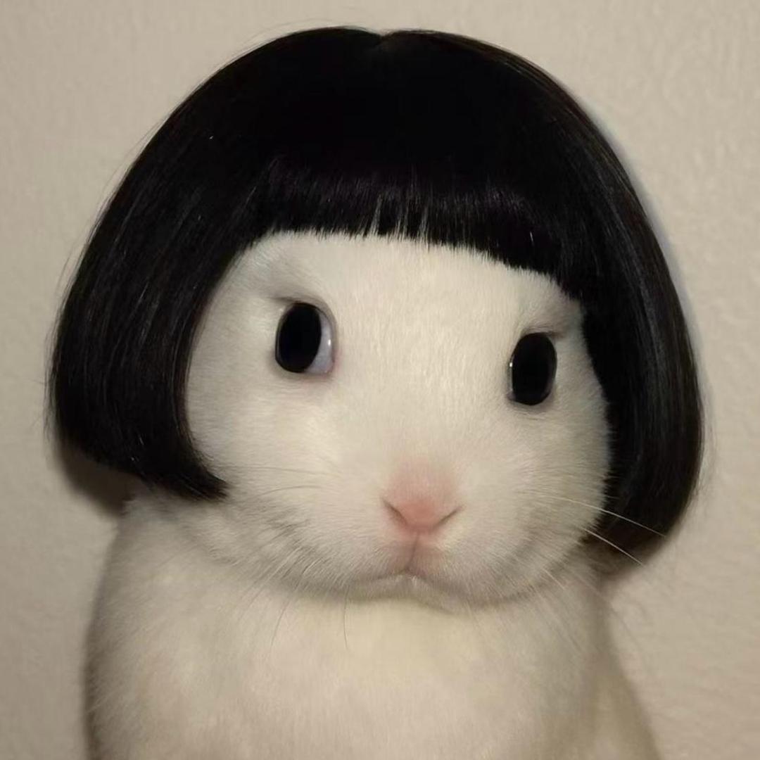 我家猫会后空翻