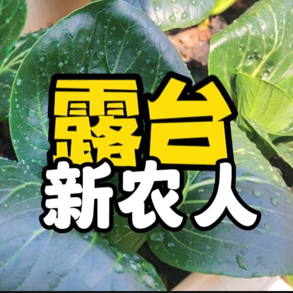 露台新农人
