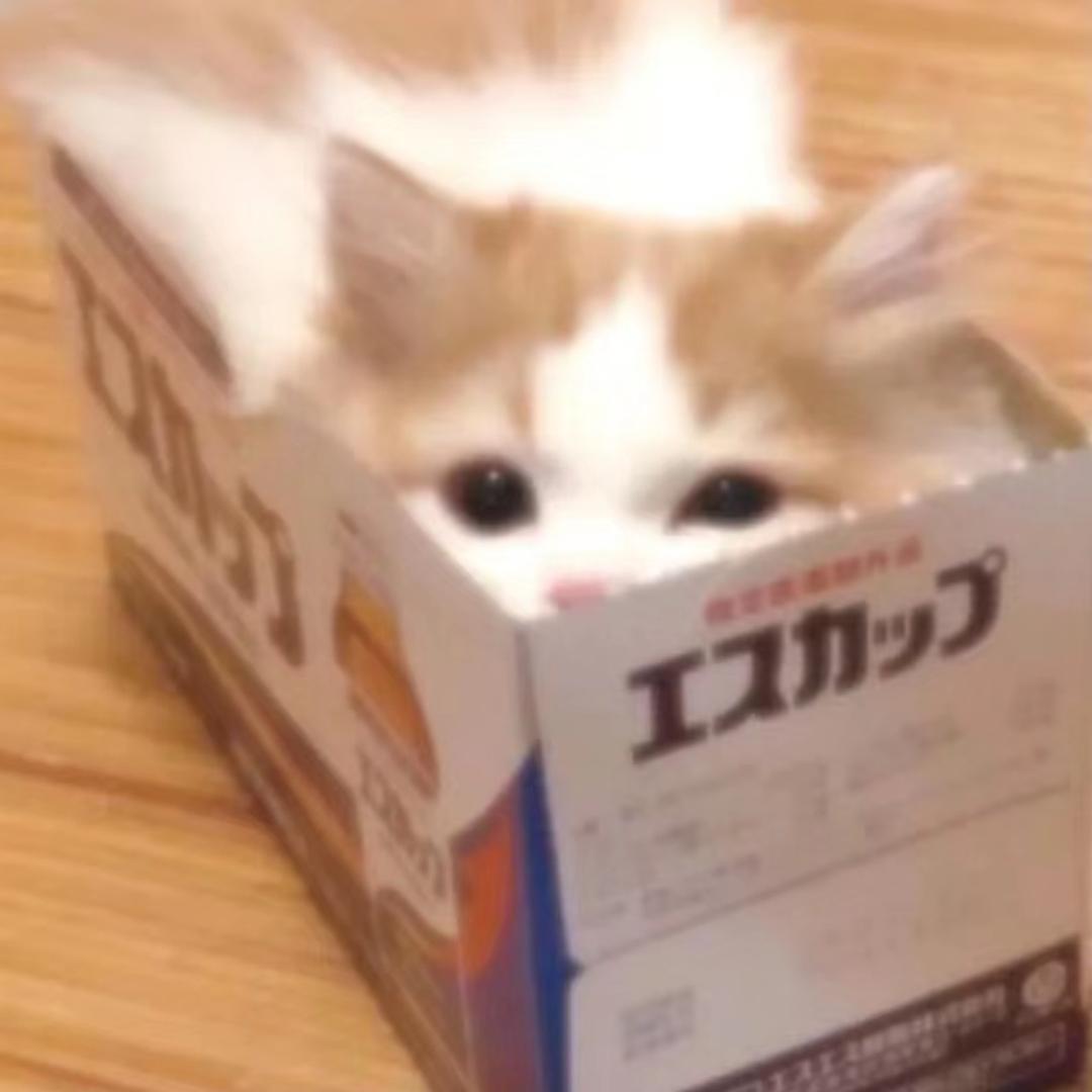三点水川