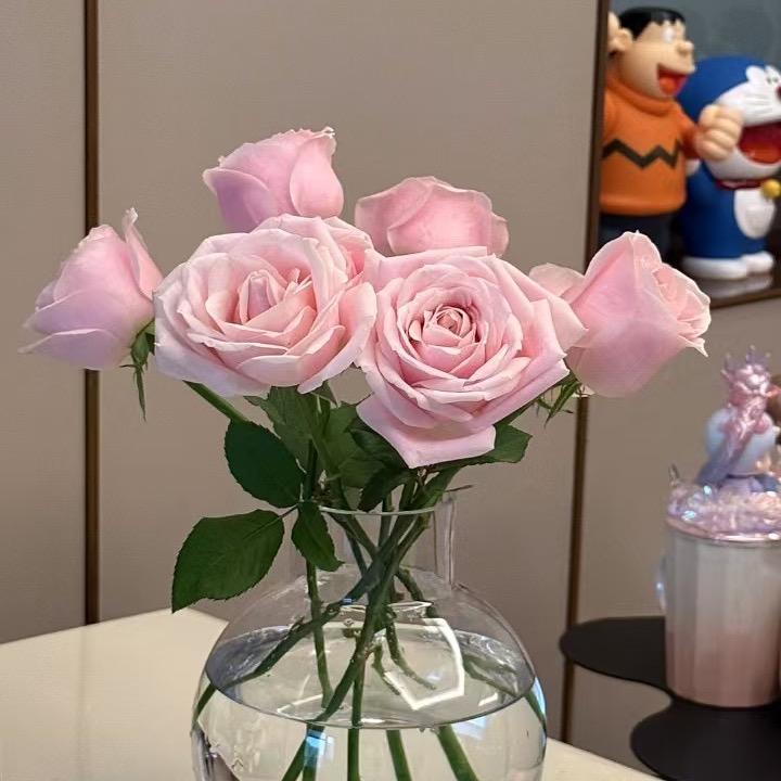 莫姐姐
