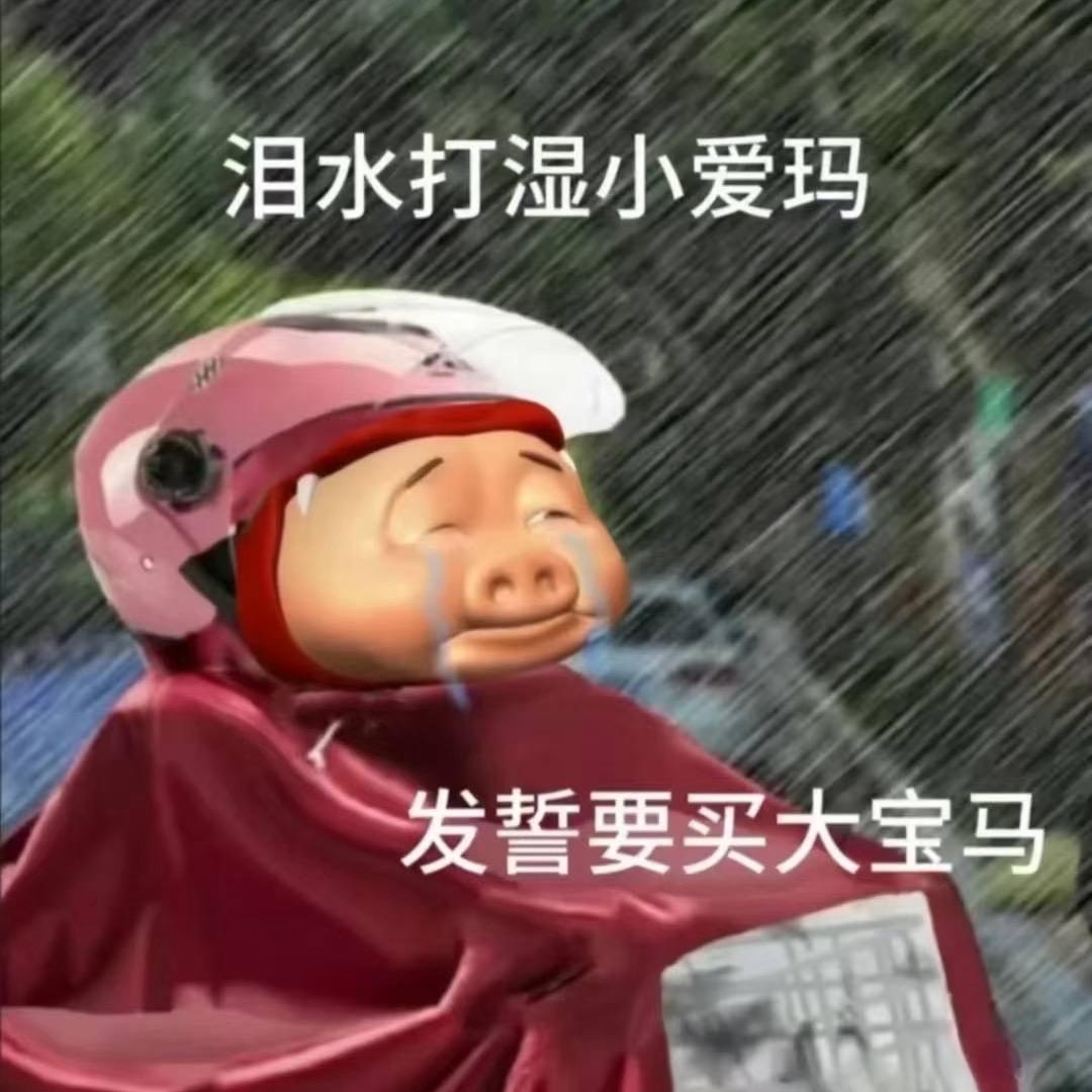 ZH