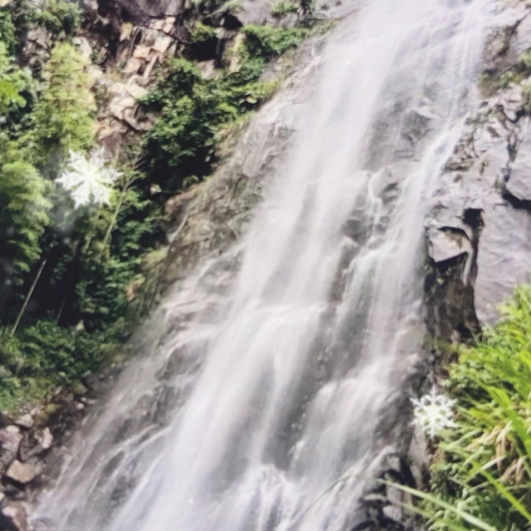 福记百货官方号