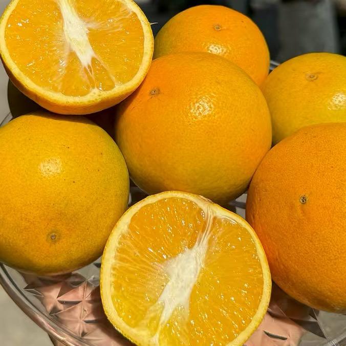 永兴冰糖橙
