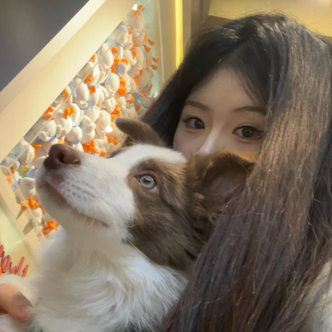 床头小熊