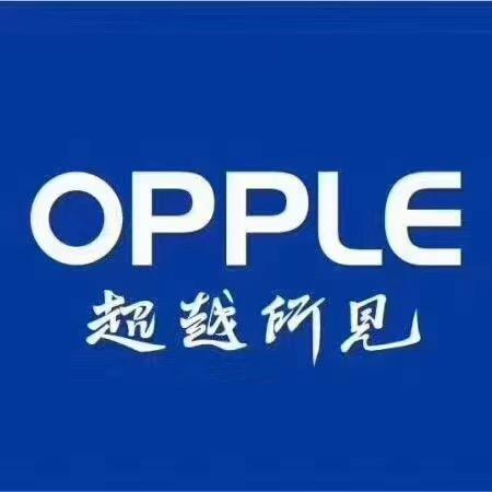 欧普照明江头店小秀