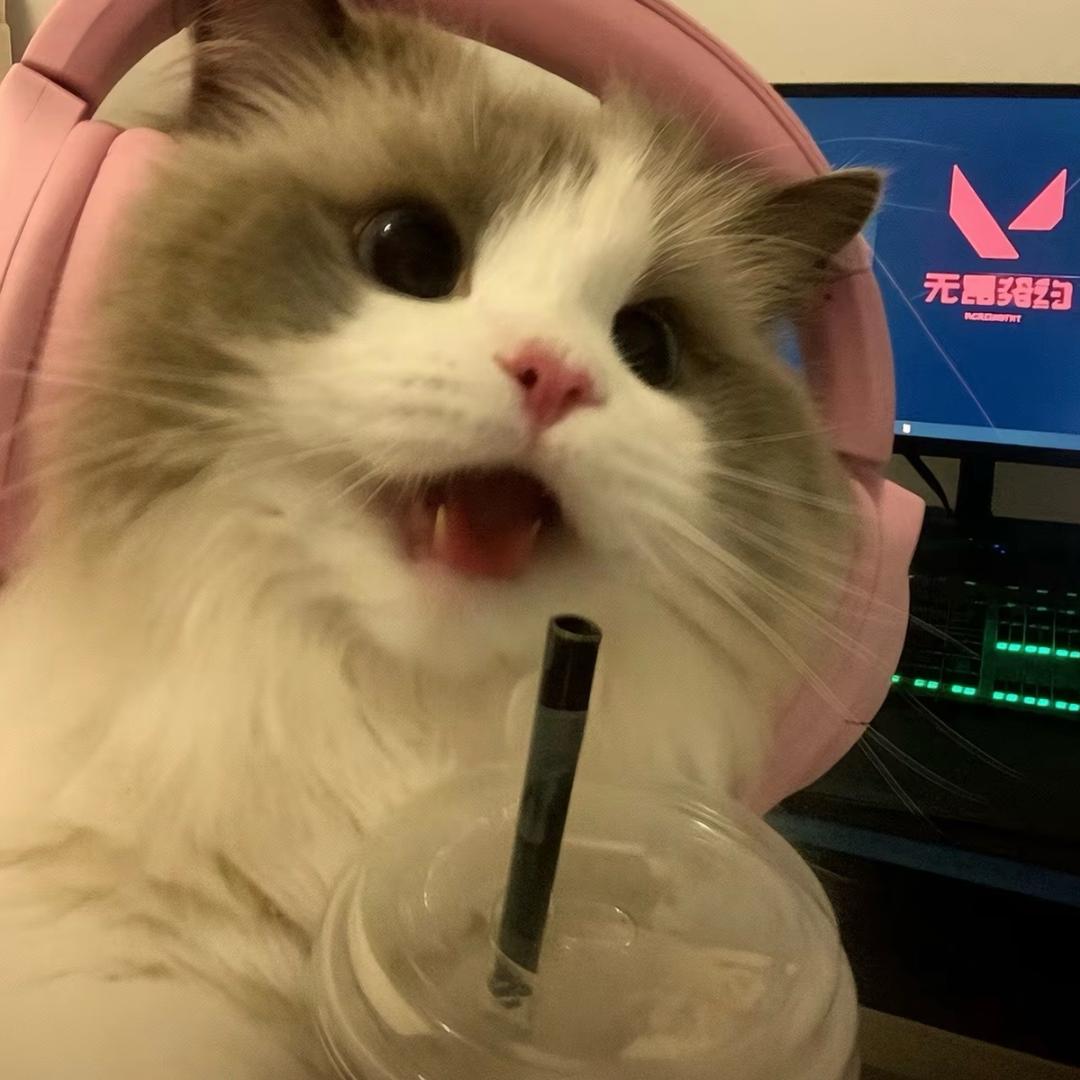 小鱼๑